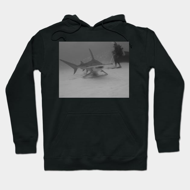 Scuba Diver Watches Great Hammerhead Shark Hoodie by jbbarnes